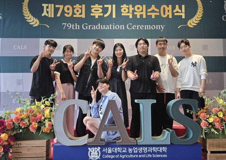 2025 Summer Internship